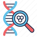 biology, dna, genetics, genome, magnifier, search, test