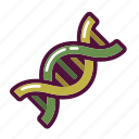 dna, helix, genetic, genetics, genome, molecule, science