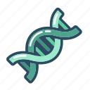 dna, helix, genetic, genetics, genome, molecule, science