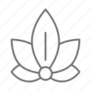 meditation, lotus, relaxation, nature, flower, zen, wellness