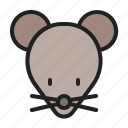 animal, mammals, mice, mouse, rat