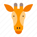 animal, giraffe, mammals, savana, zoo