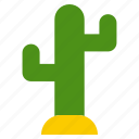 nature, green, cactus, plant