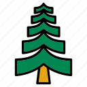 christmas, fir, flora, forest, nature, tree