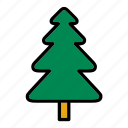 christmas, fir, flora, forest, nature, tree