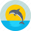 animal, dolphin, mammal, sea, whale