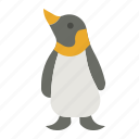 penguin, bird, animal, animals, life