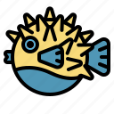 ocean, pufferfish, sea, animal, aquarium