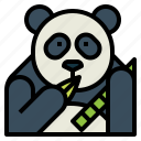 panda, bear, animal, ursidae, eat