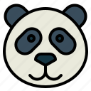 panda, bear, animal, ursidae, head