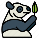 panda, bear, animal, ursidae, leaf