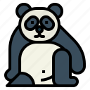 panda, bear, animal, ursidae, sit