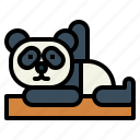 panda, bear, animal, ursidae, sleep