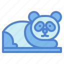 panda, bear, animal, ursidae, sleep