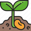 seedling, sprout, seed, plant, sapling, gardening, soil