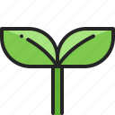 young, plant, sapling, sprout, growth, gardening, nature