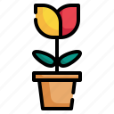 flower, botanic, blossom, leaves, floral, pot, plant icon