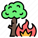 ecology, fire, forest, forest fire, natural disaster, pollution, wildfire