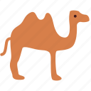 camel, desert, animal, ramadan