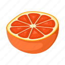 food, fresh, fruit, orange, red, tropical, vegetable