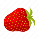 berry, food, fruit, red, strawberries, vegetable