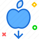 apple, fall, fruit, law, phisycs