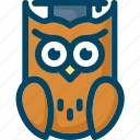 bird, education, hat, knowledge, owl, smart