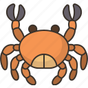 crab, crustacean, sea, animal, seafood