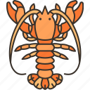 lobster, crustacean, food, cooking, ingredient