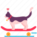 skateboard, cat, love, heart, sport, happy