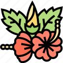 hibiscus, flower, blossom, garden, nature