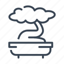 bonsai, tree, fengshui, japanese