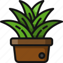 plant, pot, garden, clay, leaf, decoration