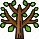 tree, wood, spring, plant, season, forest