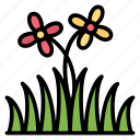 grass, plant, lawn, spring