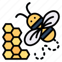 honeycomb, honey, fly, bee, animal, spring