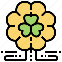 clover, leaf, luck, patrick, plant