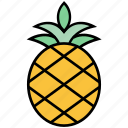 fruit, pineapple, seasons, summer, tropical