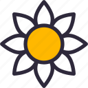 flower, summer, sunflower