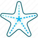 starfish, sea, ocean, beach