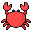 crab, crustacean, sea animal, seafood, beach, ocean, aquatic