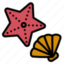 starfish, shell, seashell, beach, sea