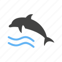 dolphin, fish, marine, ocean, swim, water, whale