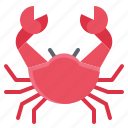 animal, crab, seafood, summer