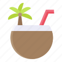 beverage, coconut, coconut water, fruit, juice, summer