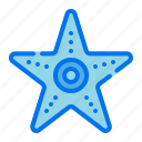 starfish, sea, ocean, star, animal