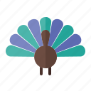 holiday, chicken, thanksgiving, autumn, turkey