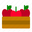 apple, basket, fall, food, fruit, thanksgiving