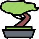 bonsai, eco, garden, nature, tree