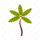 beach, exotic, leaf, nature, palm, summer, tropic